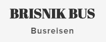 Brišnik Bus logo