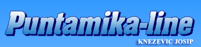 Puntamika logo